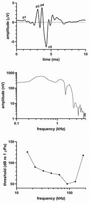 Audiograms and click spectra of seven novel and seldom-tested odontocetes